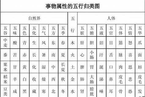 豪字五行|豪字的五行属性是什么